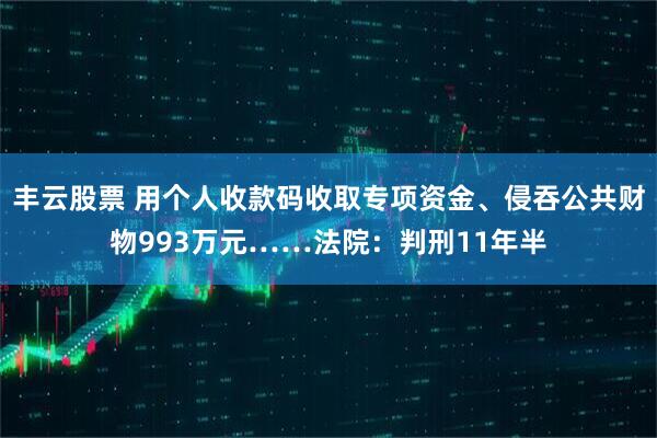 丰云股票 用个人收款码收取专项资金、侵吞公共财物993万元……法院：判刑11年半